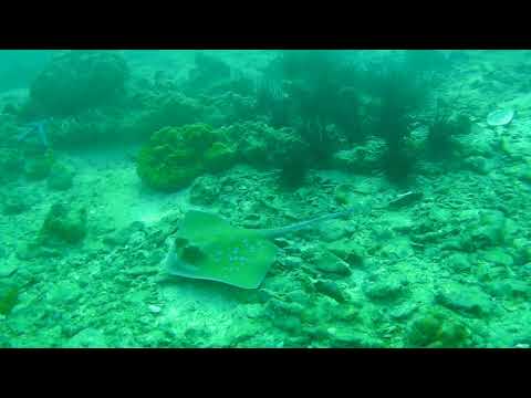 2018 1230 170905 033