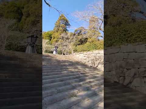 高鍋城(の)石垣１