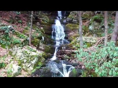 youtube embeded image