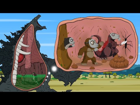 Rescue GODZILLA EARTH From GODZILLA & KONG: The Battle Against Digestive System | Godzilla Cartoons