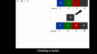 Inserting an element in a vector in MATLAB