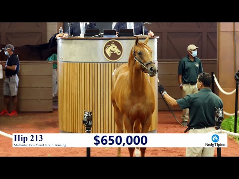 Not This Time colt sells for $650,000 at Midlantic 2YO's in Training (2020 #213)