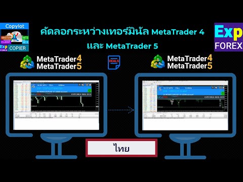 วิดีโอเกี่ยวกับตัวคัดลอกออเดอร์ Copylot สำหรับ MT4/MT5