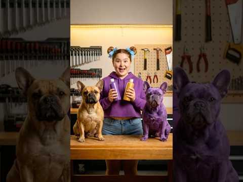 Cappy tritt mit seinem goldenen Mops im Wettbewerb an