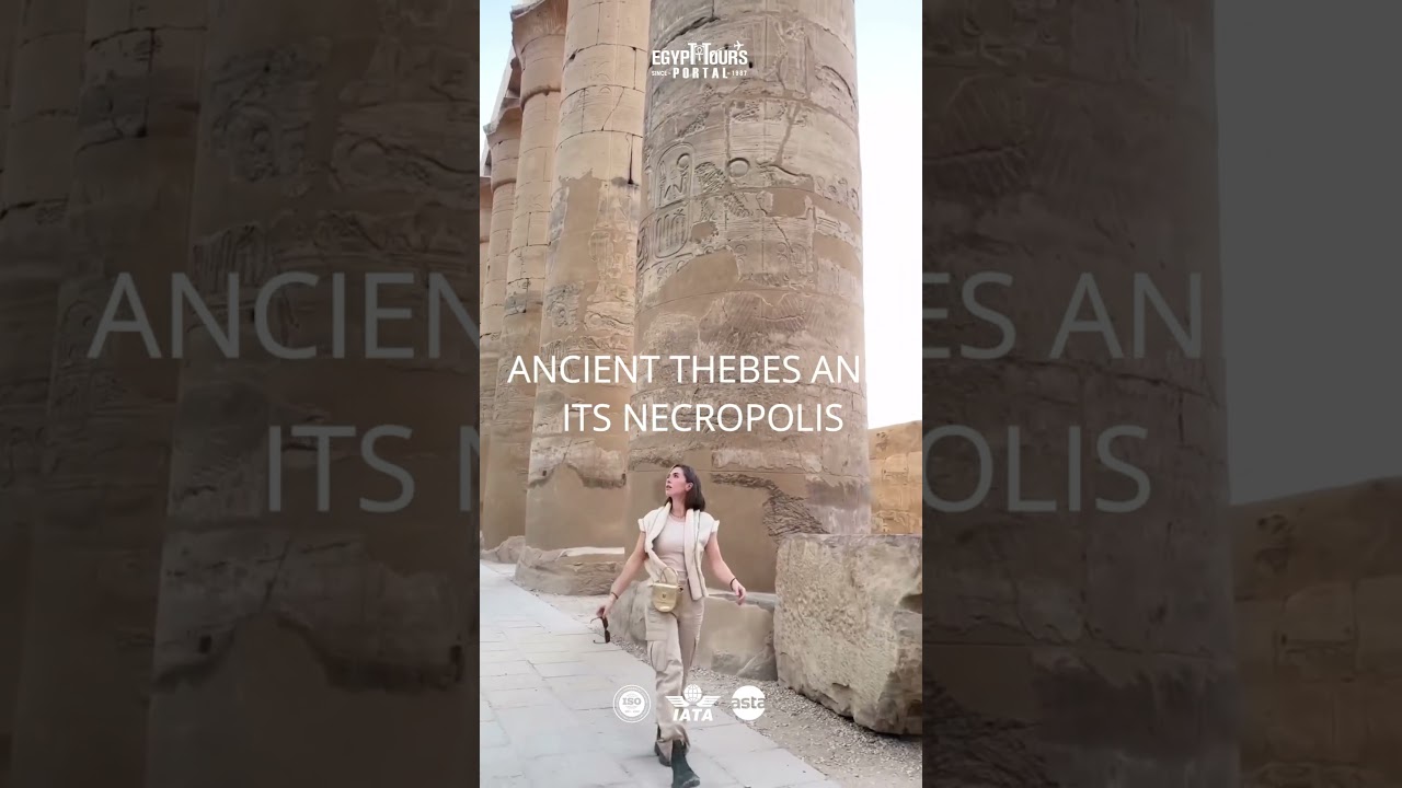 A New Egypt Tour Review