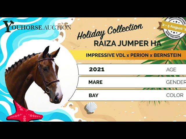 Raiza jumper HA