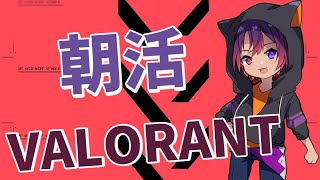 【VALORANT】朝活コンペする～【新人VTuber/龍光寺シンバ】