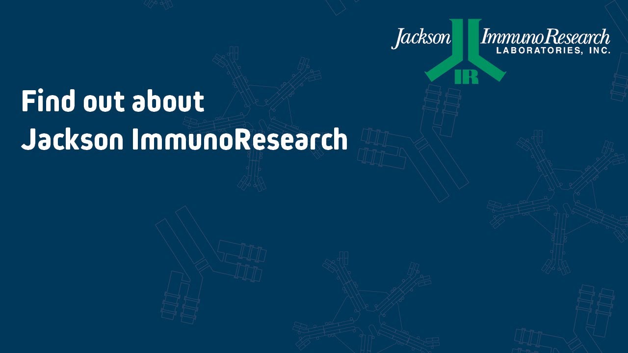 Jackson Immunoresearch secondary antibodies BioConnect