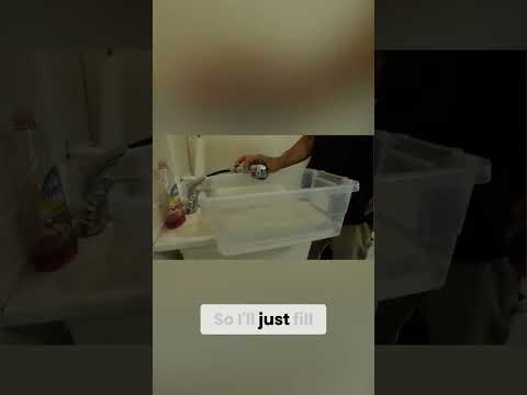 Mushroom Farm Secret: KILLING Spores with BLEACH! #shorts