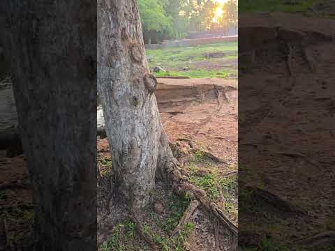 lindo balneário de luzinopolis Tocantins