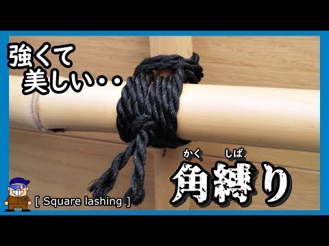 園芸 角竹