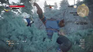 #20 The Witcher3 Game Play