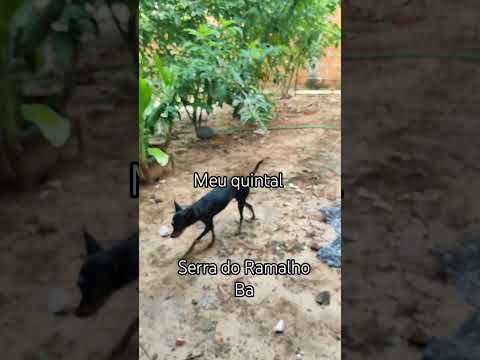 Serra do Ramalho Ba, meu quintal, minha música #biah #musica