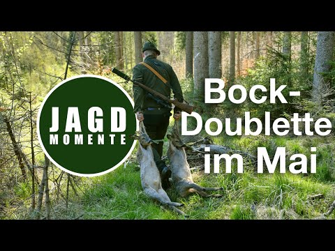 Buck Double in May | Hunting Moments | 2021 | Hunting Film No. 1