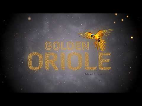 3D Tour Of Fortune Green Golden Oriole
