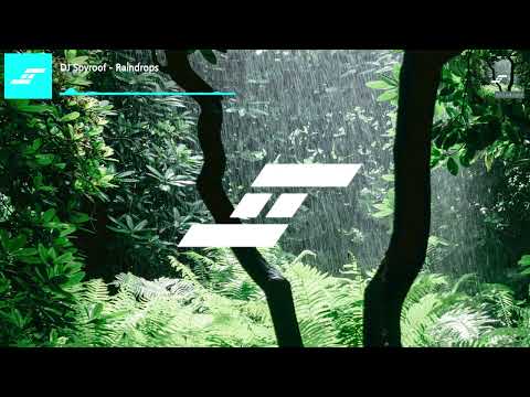 DJ Spyroof - Raindrops