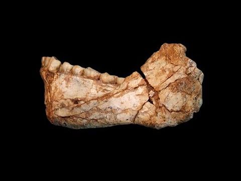 Five Fascinating Recent Discoveries About Human Origins