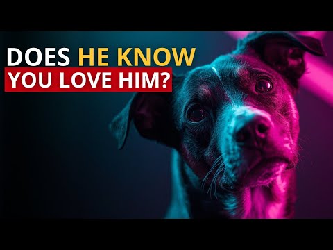 7 Signs Your Dog Actually KNOWS You Love Him