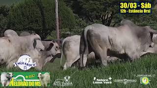 Miniatura do vídeo