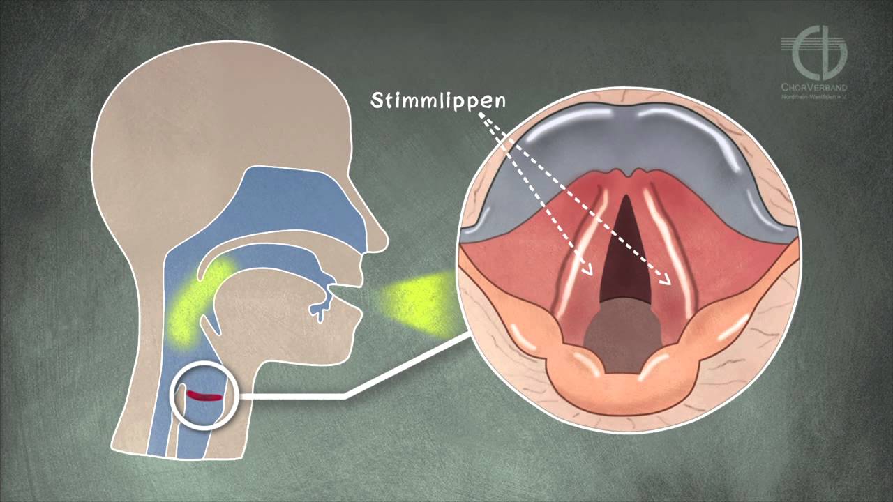 ChorVerband NRW: Tutorial Stimmbildung Animation