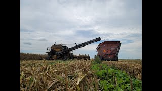 Seed corn harvest and a small farm sale!