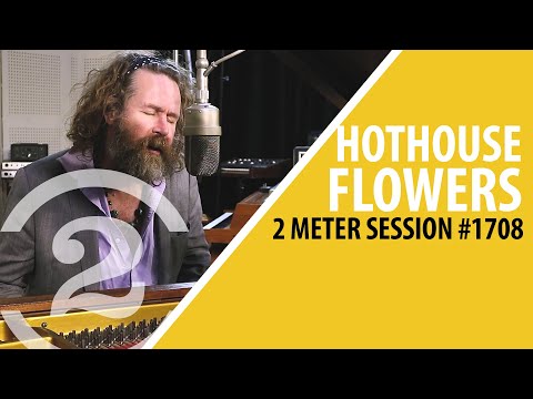 Liam Ó Maonlaí & Peter O’Toole (of HOTHOUSE FLOWERS) Full Performance (Live on 2 Meter Sessions)