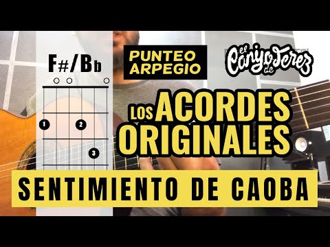 Pedro Pimentel - Como tocar Sentimiento de Caoba - El Canijo de Jerez (Video Oficial)