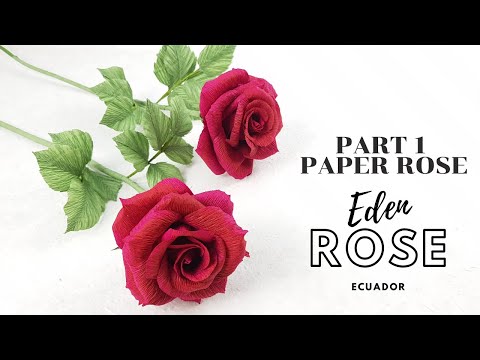 Paper Rose Tutorial - How to make paper rose - Eden Ecuador Rose- part 1-