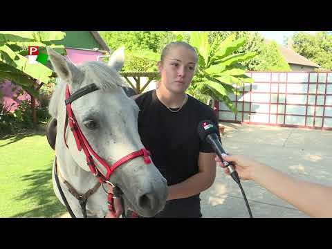 Vajdasági Futam –  Bácsfeketehegy