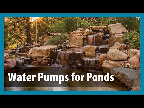 How to Choose a Koi Pond Water Pump