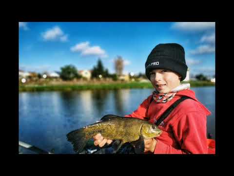 Zanęta MatchPro Top Gold Team Feeder Lake 1kg film wideo
