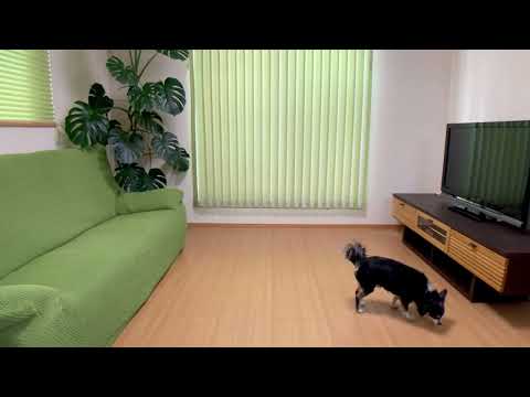 フローリング防滑性(光洋産業株式会社)