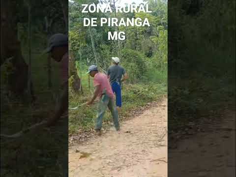 ZONA RURAL MUNICÍPIO DE PIRANGA DO ESTADO DE MINAS GERAIS DO PAÍS CHAMADO BRASIL