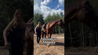 Einmal Ponyreiter, IMMER Ponyreiter 😅🏇🏼 @doppelfuchs  #reitercomedy#pferd#pony#equestrian