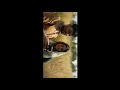 Eeran Mukil Song Whatsapp Status Video HD Cold Case Crime Thriller Malayalam Hit Romantic