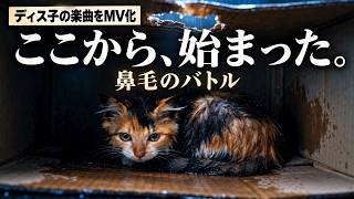 Download lagu It started as a nose hair song, but it turned into a story about Disco and her family. [MV] mp3