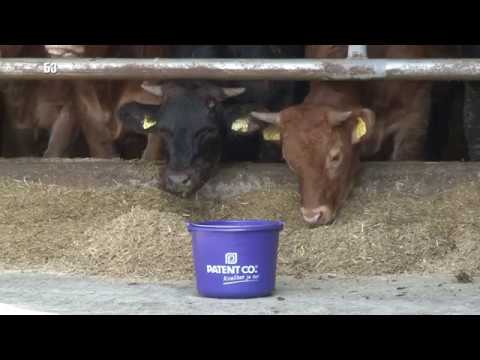 PATENT KO -  koncept ISHRANE JUNADI