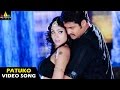 Naa Alludu Songs Patuko Patuko Video Song Jr NTR Shriya Genelia