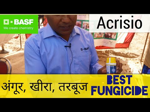 download lagu mp3 mp4 Acrisio, download mp3 Acrisio free download mp3, download mp3 Acrisio