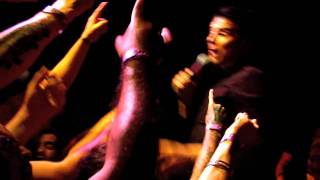 Street Dogs   Back to the world LIVE