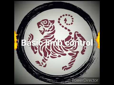 Solo limb control bunkai drills