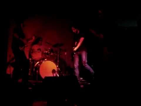 PÁJAROS MUTANTES - TIERRA EN VIVO