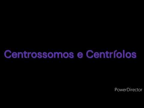 Centríolos e Centrossomos - Trabalho de Biologia