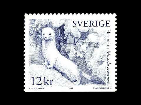 destroy lonely + izaya tiji type beat - 'rish' (prod. octo & lambda)