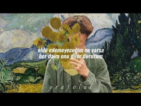 passenger | birds that flew and ships that sailed (türkçe çeviri)