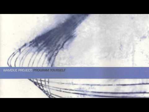 🎶 Wamdue Project - Program Yourself 🎶