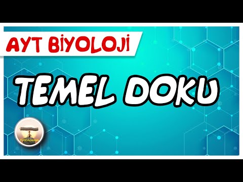 AYT Biology | Basic Tissue #page186