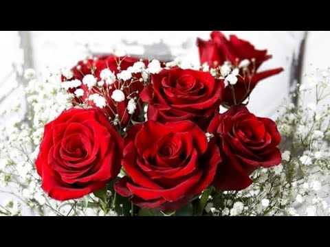 Beautiful flower video the most beautiful flower content worlds most beautiful flower #flowers #2023