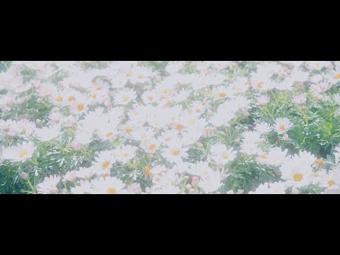 R7CKY - like a dream (Music Video)