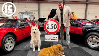  InterClassics Maastricht 15 | 16 | 17 | 18 Januari 2026